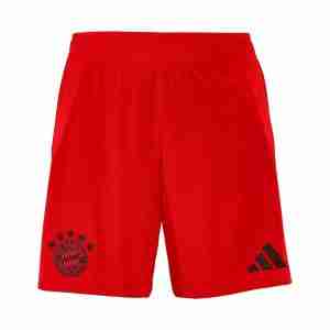 Tailandia Bayern Munich Primera Pantalón-Corto 2024 2025