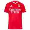 Tailandia Camiseta Benfica Primera Equipacion 2024 2025