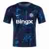 Tailandia Camiseta  Chelsea  Pre Match Equipacion 2024 2025