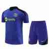 Tailandia Camiseta Conjunto FC Barcelona Entrenamiento Equipacion 2024 2025  Purpura