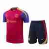 Tailandia Camiseta Conjunto FC Barcelona Entrenamiento Equipacion 2024 2025 Rojo Azul