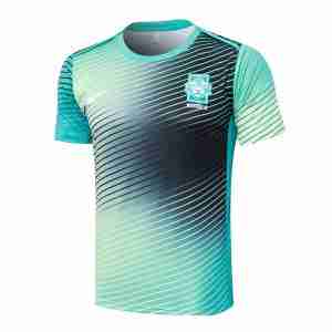 Tailandia Camiseta Corea Del Sur Entrenamiento Equipacion 2024 2025 Azul