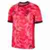 Tailandia Camiseta Corea Del Sur Primera Equipacion 2024