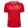 Tailandia Camiseta Dinamarca Primera Equipacion 2024