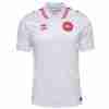 Tailandia Camiseta Dinamarca Segunda Equipacion 2024