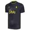 Tailandia Camiseta Everton Segunda Equipacion 2024 2025