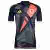 Tailandia Camiseta Gales Portero  Equipacion 2024
