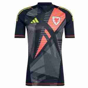 Tailandia Camiseta Gales Portero  Equipacion 2024