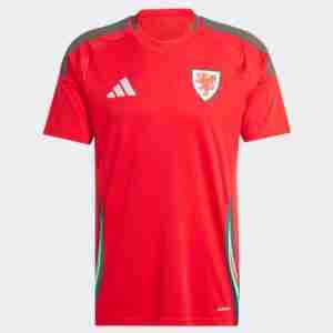 Tailandia Camiseta Gales Primera Equipacion 2024