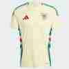 Tailandia Camiseta Gales Segunda Equipacion 2024