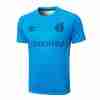 Tailandia Camiseta Gremio FBPA Entrenamiento Equipacion 2024 2025
