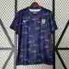 Tailandia Camiseta Inglaterra Pre Match Equipacion 2024
