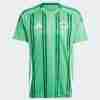 Tailandia Camiseta Irlanda Del Norte Primera  Equipacion 2024