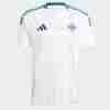 Tailandia Camiseta Irlanda Del Norte Segunda  Equipacion 2024