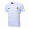 Tailandia Camiseta Real Madrid Entrenamiento Equipacion 2024 2025 Blanco Gris