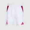 Tailandia Nottingham Forest Primera Pantalón-Corto 2024 2025