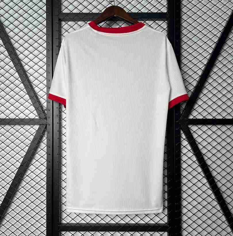 Tailandia Camiseta Benfica Especial Equipacion 2025 2026_1