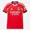 Tailandia Camiseta Benfica Primera Equipacion 2025 2026
