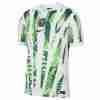 Tailandia Camiseta Nigeria Primera Equipacion 2025 2026
