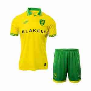 Camiseta Norwich City Conjunto Niños Primera Equipacion 2025 2026