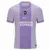 Tailandia Camiseta Brighton Segunda Equipacion 2025 2026