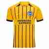 Tailandia Camiseta Brighton Tercera Equipacion 2025 2026
