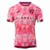 Tailandia Camiseta Norwich City Segunda Equipacion 2025 2026