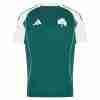 Tailandia Camiseta Panathinaikos Primera Equipacion 2025 2026