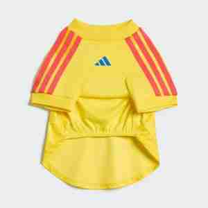 Camiseta Colombia Para Mascotas 2026_1