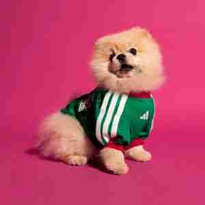 Camiseta México Para Mascotas 2026