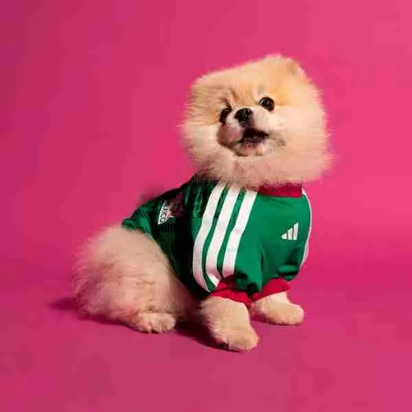 Camiseta México Para Mascotas 2026