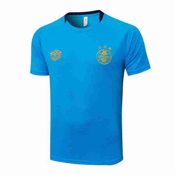 Camiseta Entrenamiento Grêmio FBPA 2025-2026 Azul 4 Tailandia Camiseta Gremio FBPA Entrenamiento Equipacion 2025 26 Azul