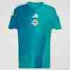 Tailandia Camiseta Irlanda Del Norte Primera Equipacion 2026