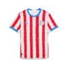 Camiseta Paraguay Primera Equipacion 2026 – Versión Jugador