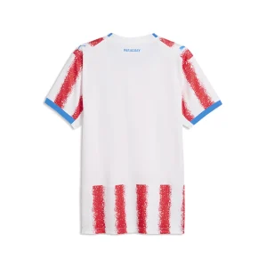 Camiseta Paraguay Primera Equipacion 2026 – Versión Jugador_1